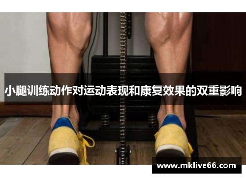 小腿训练动作对运动表现和康复效果的双重影响