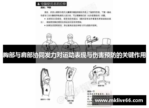 胸部与肩部协同发力对运动表现与伤害预防的关键作用