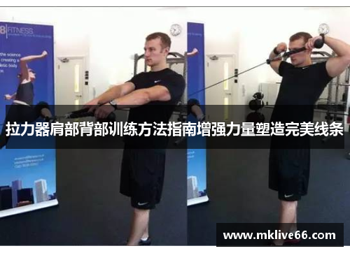 拉力器肩部背部训练方法指南增强力量塑造完美线条